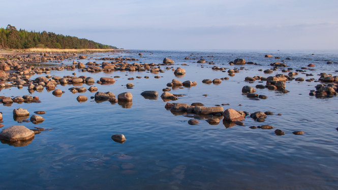 Akmeņaina jūramala vasarā. Foto: Andris Soms