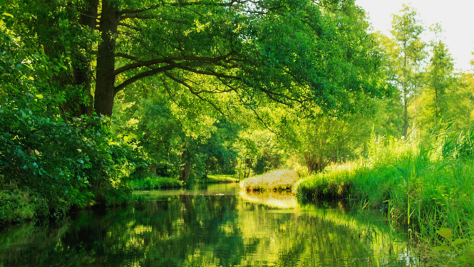 Vasaras ainava ar upīti