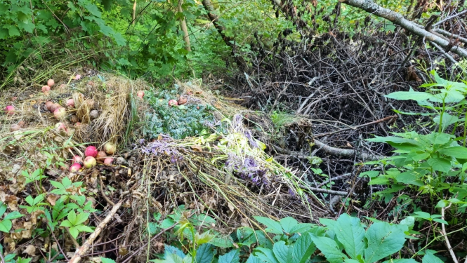 Bioloģiskie atkritumi