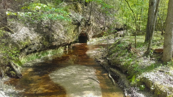 Lašupe Gaujas Nacionālajā parkā