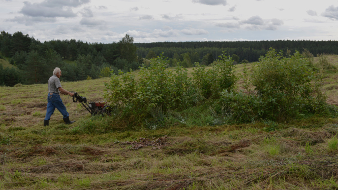 Biotopa apsaimniekošana
