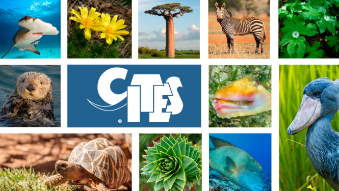 CITES semināri 2024