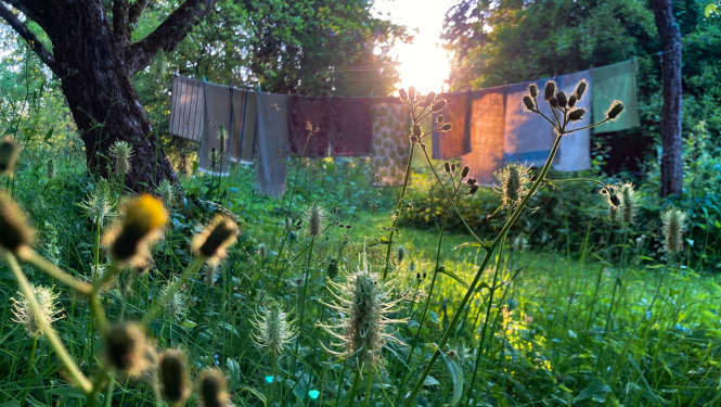 Krāšņs dārzs ar dabīgiem augiem. Foto Maija Medne