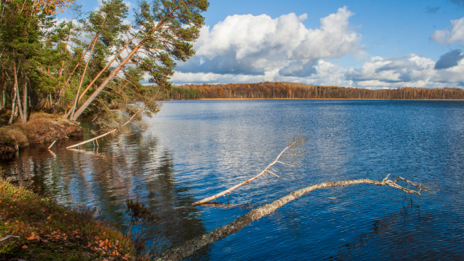 Dabas liegums Augstroze. Augstrozes Lielezers. Foto: Andris Soms