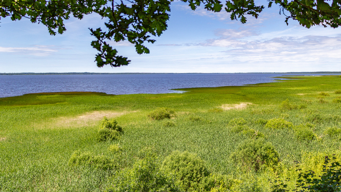 Dabas liegums "Burtnieku ezera plavas", Burtnieka ezera austrumu krasts