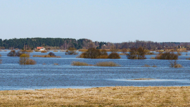 Plūdi Dvietes palienē