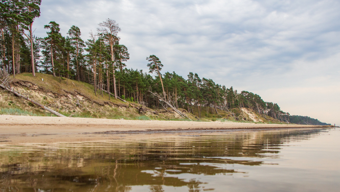 Dabas parks Bernāti. Stāvkrasts. Kāpa. Pludmale. Foto: Andris Soms