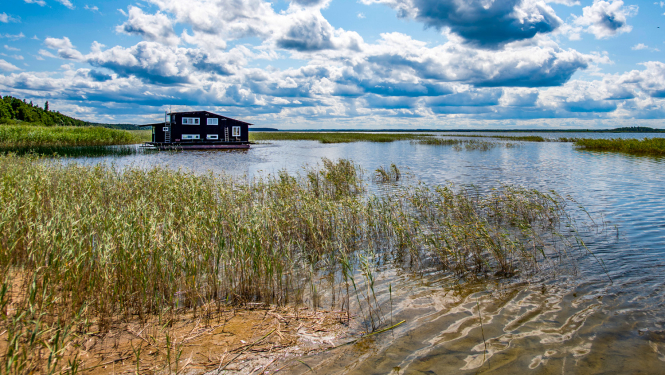Dabas parks ENGURES EZERS. Foto Jānis Zilvers