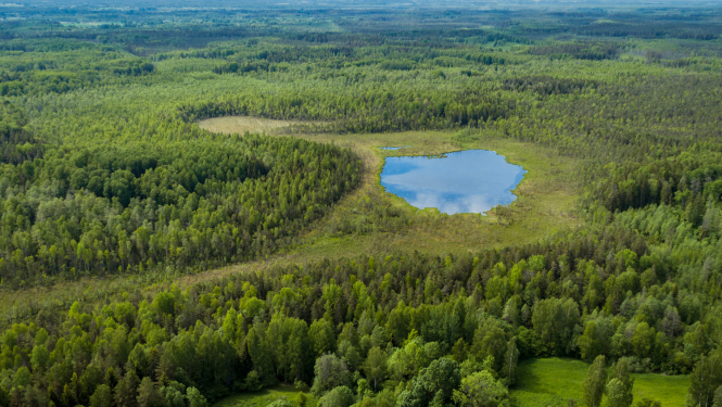 Dabas parks Numernes valnis