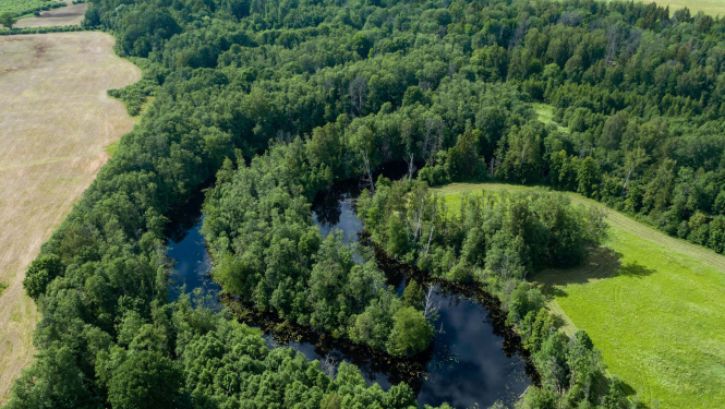 Dabas parks OGRES IELEJA. Foto Jānis Zilvers