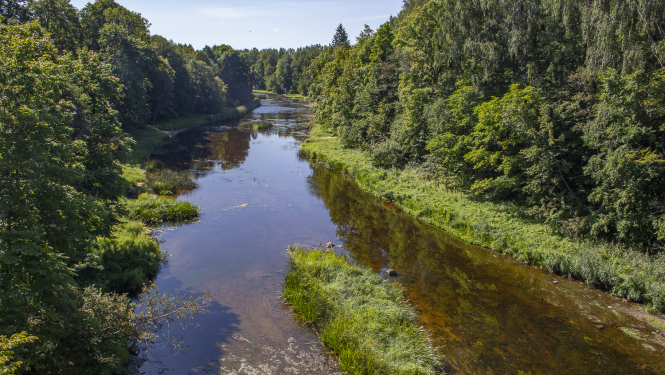 Dabas parks Ogres ieleja. Foto: Andris Soms. DAP