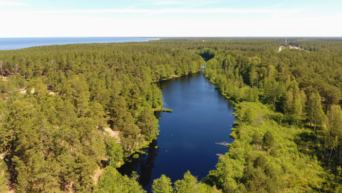 dabas parks "Piejūra", Lilastes Garezers