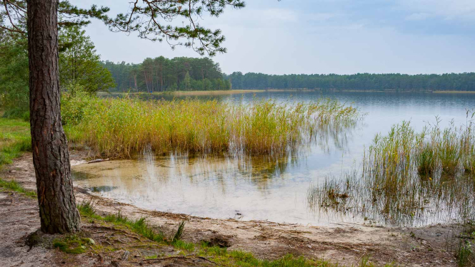 Dabas parks Piejūra. Ummja ezers. Foto: Andris Soms