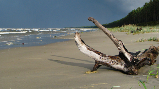 Dabas parks Ragakāpa. Foto: Agnese Priede