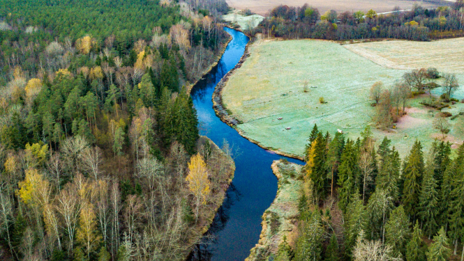 Dabas parks SALACAS IELEJA. Ramatas grīva