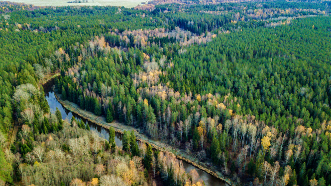 Dabas parks SALACAS IELEJA. Silmači