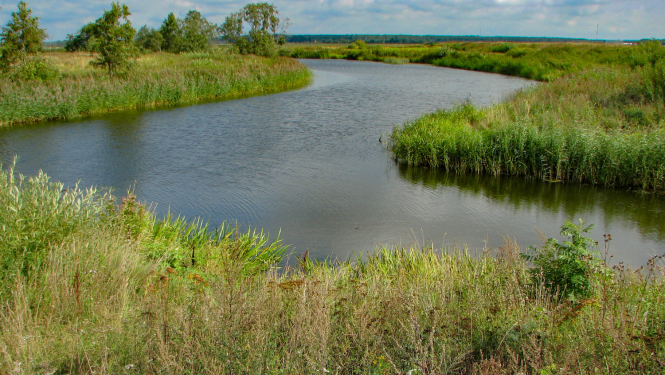 Dabas parks Svētes paliene. Foto: Agnese Priede. DAP