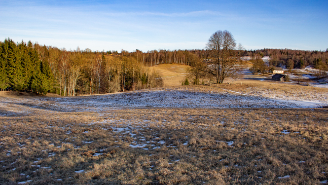Dabas parks Talsu pauguraine. Skats ceļa posmā Mundīgas-Kampari. Foto: Andris Soms. DAP