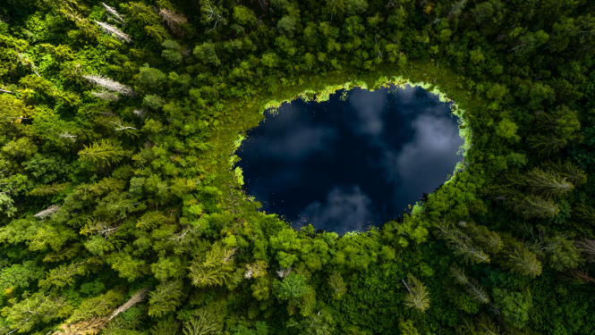 Mazs ezeriņš meža vidū