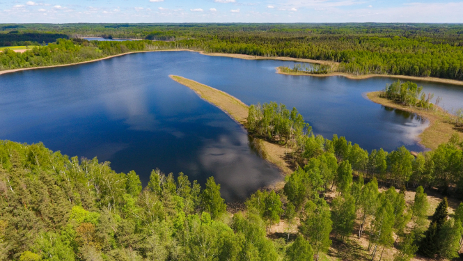 Krustkalnu dabas rezervāts. Svetes-Dreimanu ezers. Velna pirksts. Foto: Dagnis Vasiļevskis