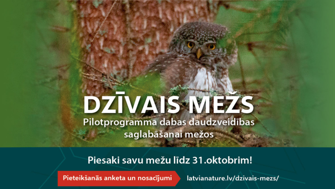 Dzīvais mežs
