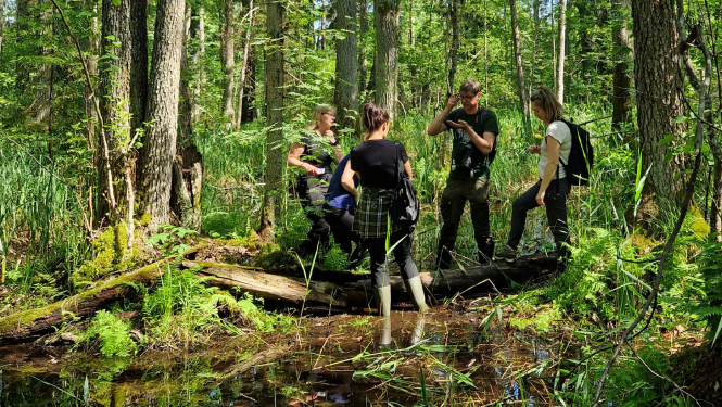 Dabas eksperti mežā