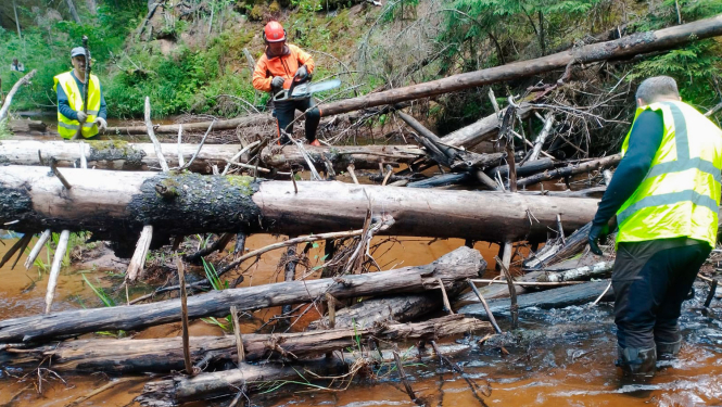 Lenčupes tīrīšana GNP