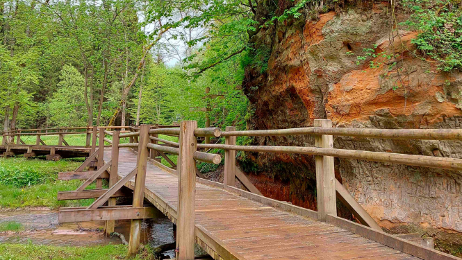 Koka laipa gar smilšakmens atsegumu Vikmestes takā