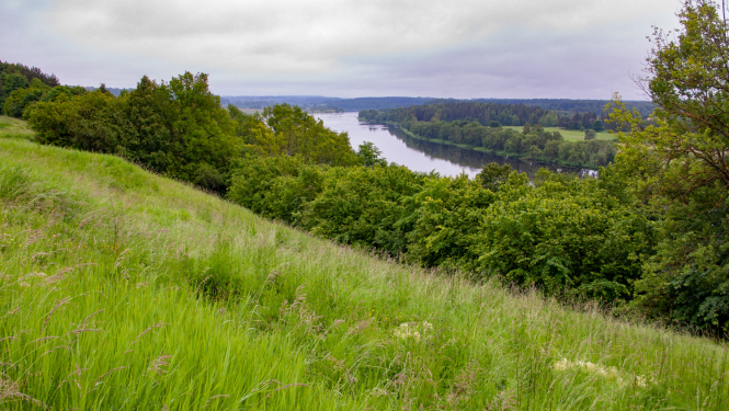 Dabas parks Daugavas ieleja. Foto: Andris Soms, DAP
