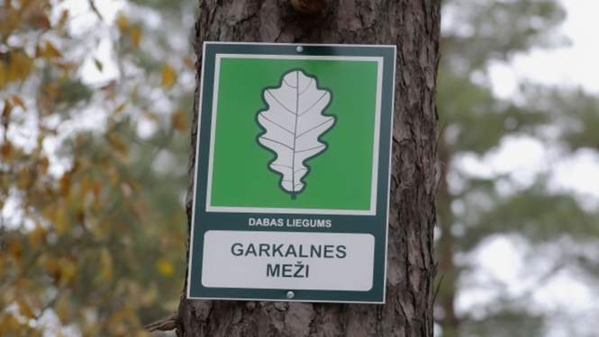 IADT Garkalnes meži