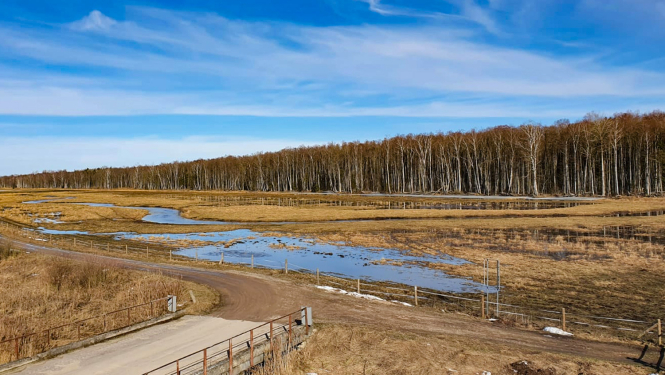 Ķemeru Nacionālais parks. Dunduru pļavas pavasarī