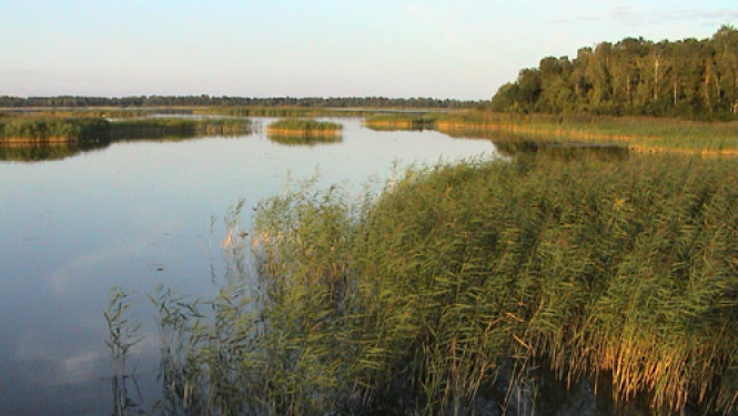 iadt_npkemeri_kaniera