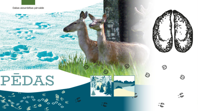 Pēdu noteicēja ilustratīvs attēls.