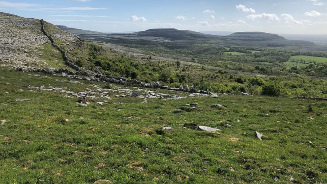 Īrijas ainava. Foto: Gita Strode