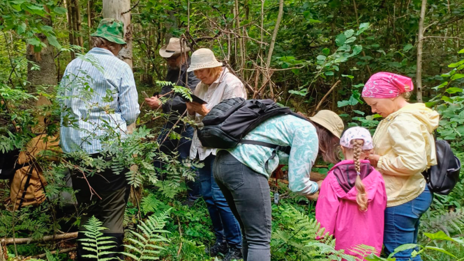 Ķērpju pētnieki Krustkalnu dabas rezervātā