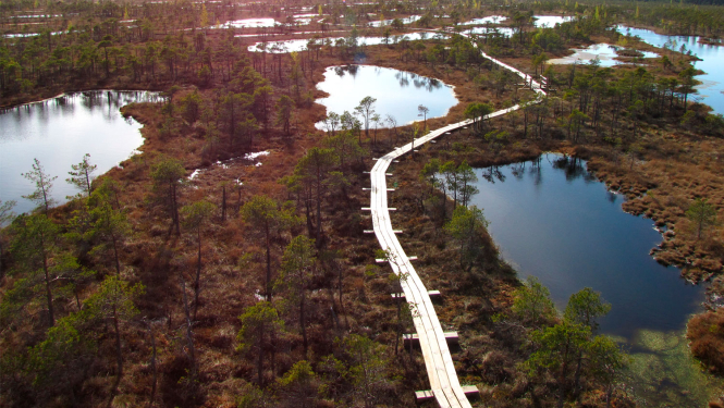 Ķemeru tīreļa laipa