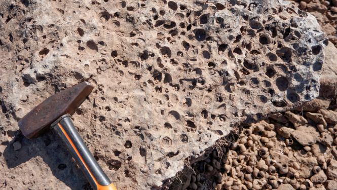 Kraukļa klintis pie Daugavas