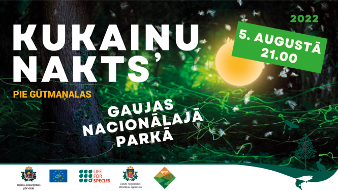 Kukaiņu nakts Gauja sNacionālajā parkā