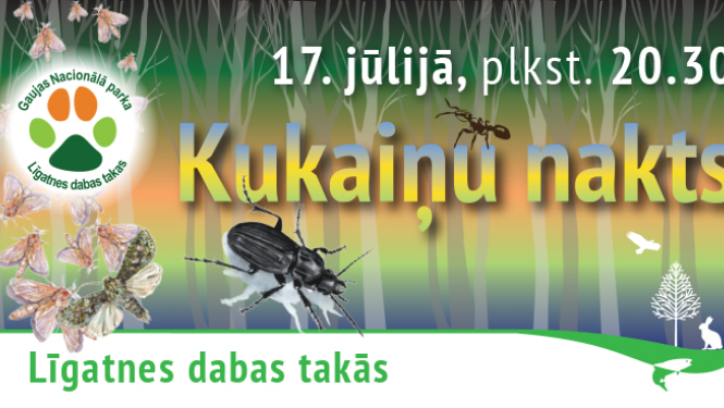Kukaiņu nakts Līgatnes dabas takās