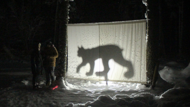 Satiec zvērus tumsā Līgatnes dabas takās