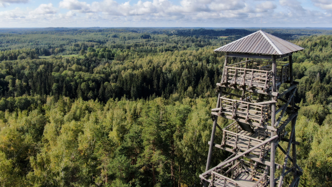 Lielā Liepukalna skatu tornis
