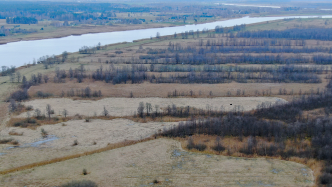 Dabas liegums Lielupes palienes pļavas