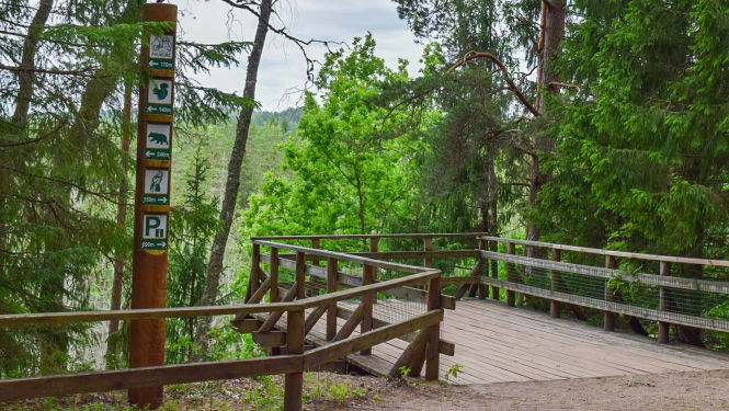 Līgatnes dabas takas