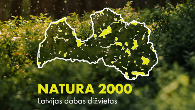 Natura-2000 dižvietas