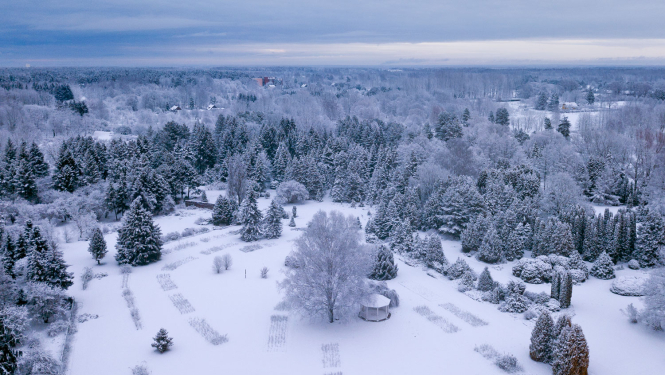 Nacionālā botāniskā dārza ainava ziemā