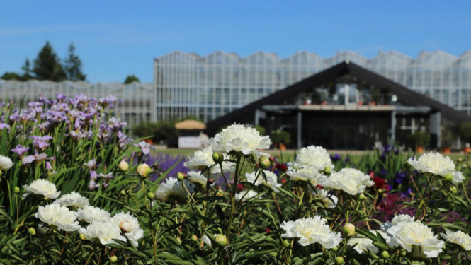 Nacionālais botāniskais dārzs