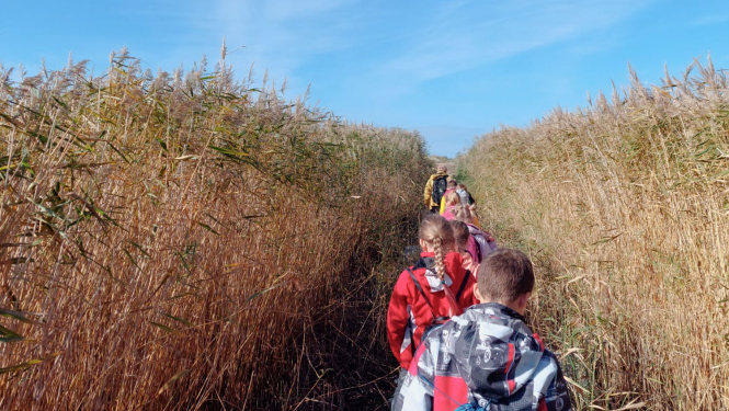 Nodarbība dabas liegumā Randu pļavas