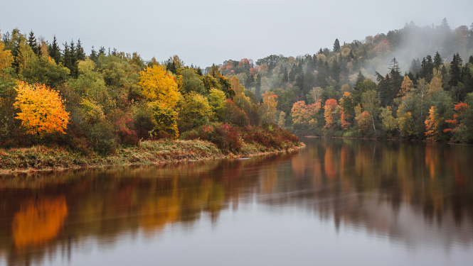 Skats uz Gauju no tilta rudenī