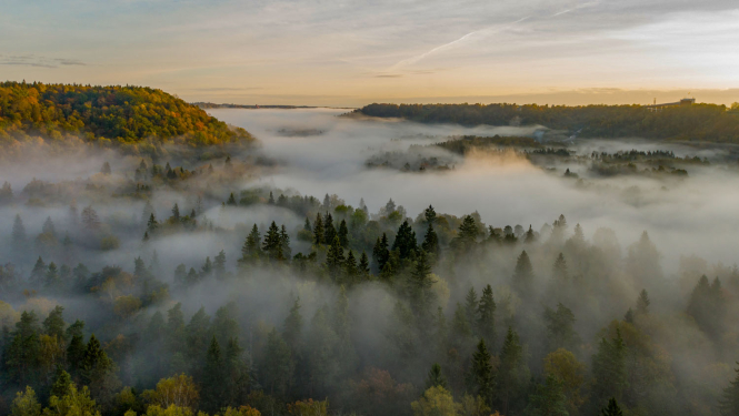 Gaujas Nacionālais parks. Gauja pie Siguldas. Foto Jānis Zilvers.