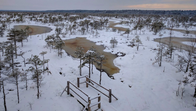 ĶNP Lielais tīrelis